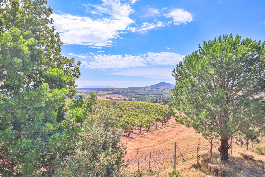 10 Bedroom Property for Sale in Stellenbosch Farms Western Cape